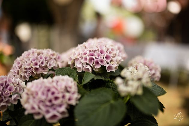 Reportage anniversaire 1 an