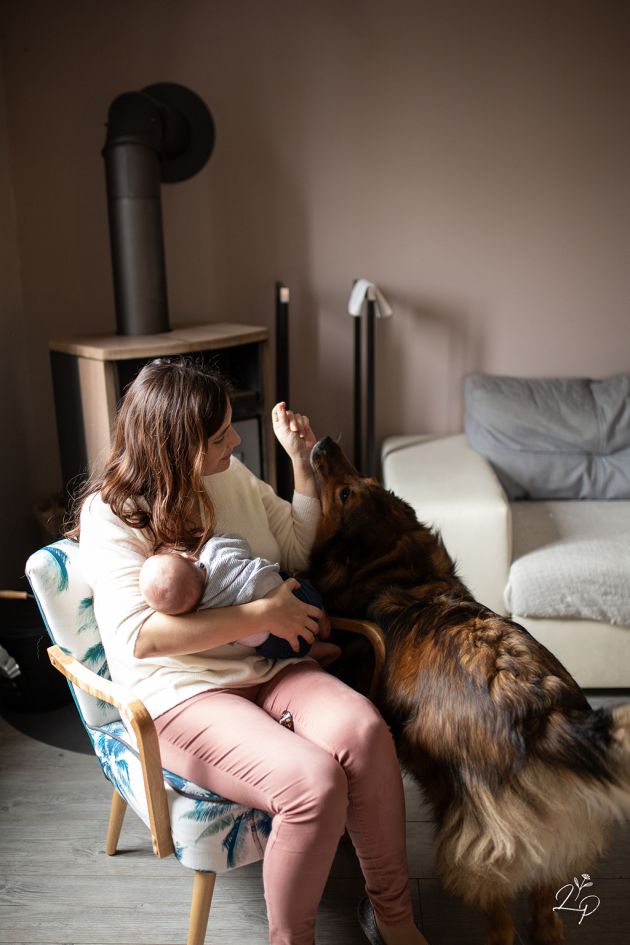 Forfait photo naissance, à domicile, avec le chien, Saint-Louis, Haut-Rhin, France