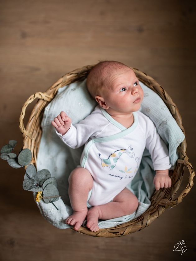 Portrait bébé posé, dans panier, posing naturel, Thann, Haut-Rhin