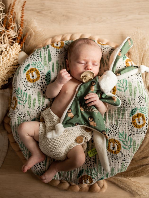 forfait photo naissance, photo nouveau né maternité, posing à domicile, photo nouveau né avec accessoires, dans panier, fleurs séchées, Mulhouse, Haut-Rhin
