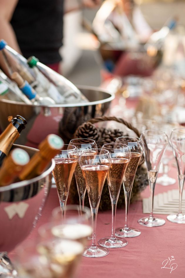 photographe Lauriane Pujo -  reportage photo vin d'honneur mariage dans le Haut-Rhin