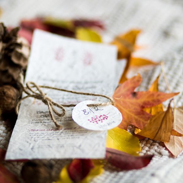 papeterie écologique, boutique en ligne, shooting pro, produits