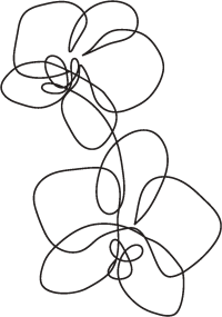 Illustration arc-en-ciel