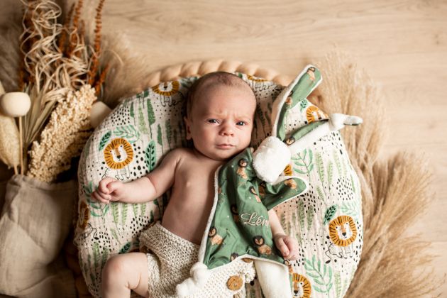 Portrait bébé dans panier, photo bébé accesoirisé, Thann, Haut-Rhin