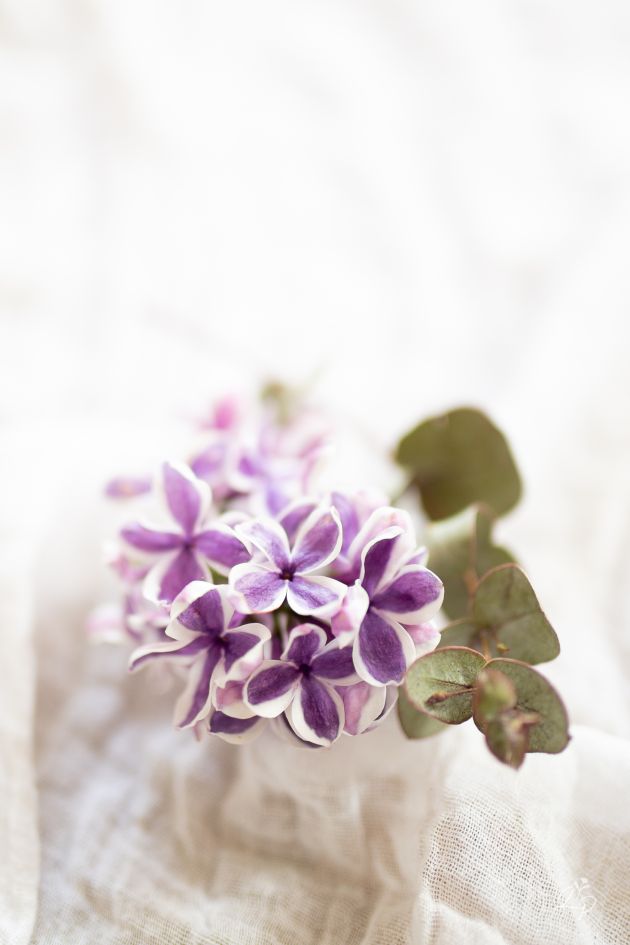 photographe Lauriane Pujo -  photo de mariage dans le Haut-Rhin