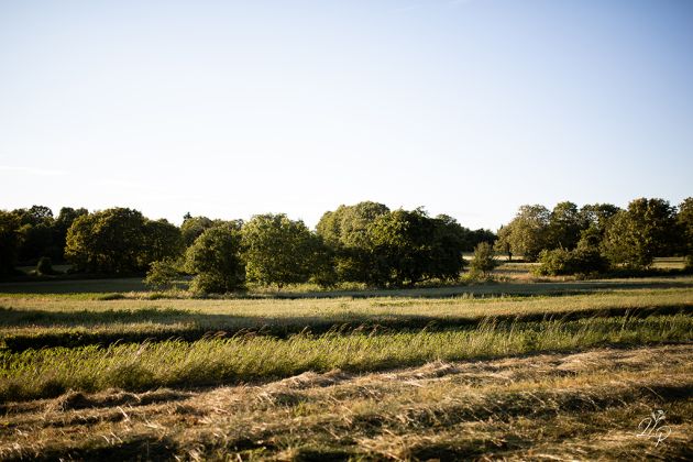 Célébration de grossesse dans la nature