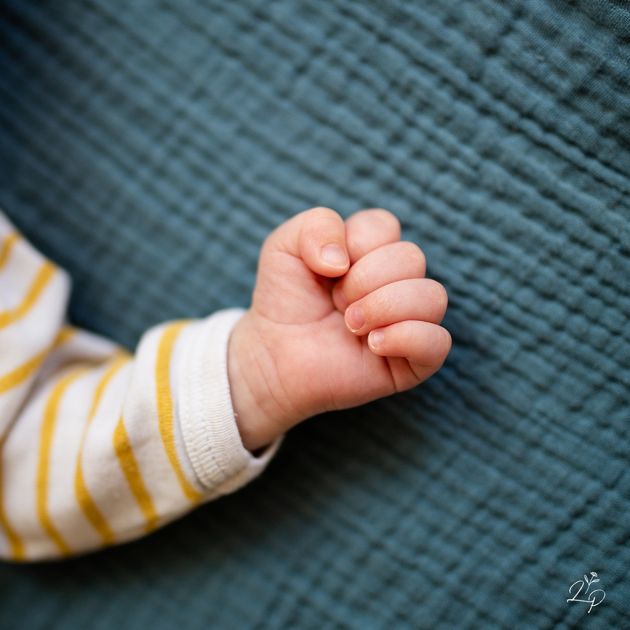 Détail main bébé, photo nouveau né maternité, Vosges